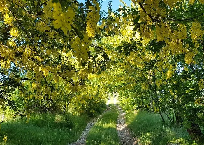 Fattoria Ca Di Sole * San Benedetto Val di Sambro