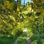 Fattoria Ca Di Sole * San Benedetto Val di Sambro
