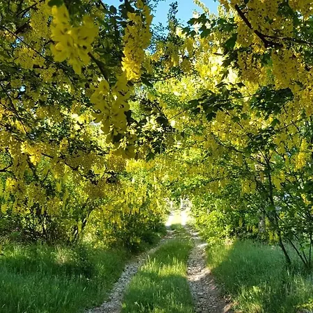 Agriturismo Fattoria Ca Di Sole * San Benedetto Val di Sambro