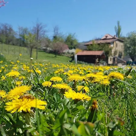 Agriturismo Fattoria Ca Di Sole * San Benedetto Val di Sambro