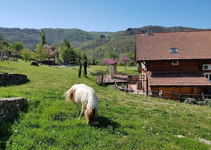 Fattoria Ca Di Sole * San Benedetto Val di Sambro
